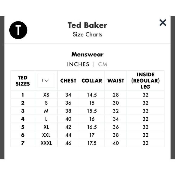 Ted Baker Two Button Jacquard Lined Blazer Gray Notched Lapel Men’s 46 - Picture 11 of 12